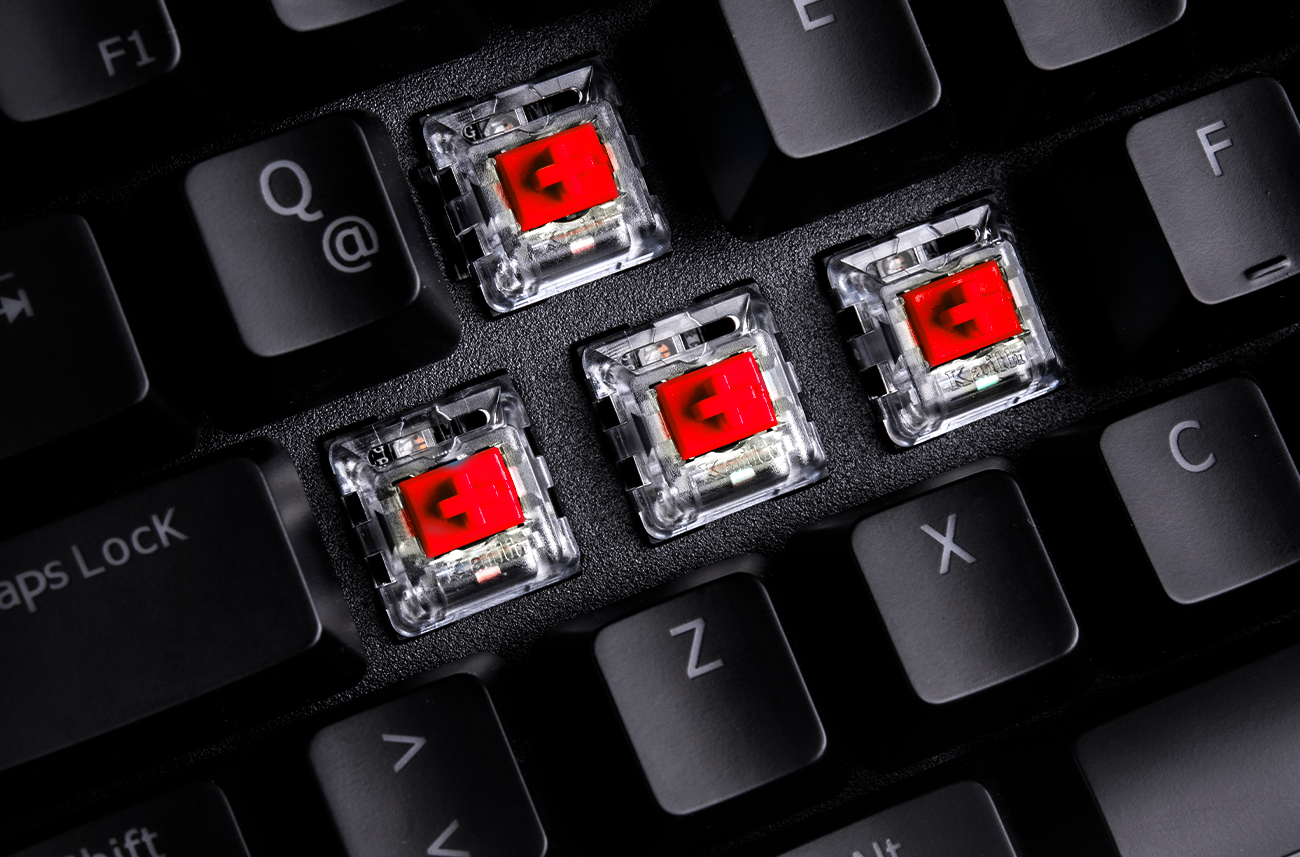 Negro / Regular Rojo